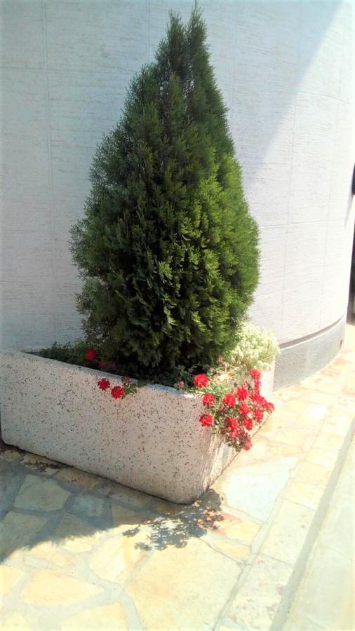 Hotel Tehnograd クラリエボ エクステリア 写真